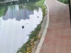 -成都中医药大学(温江校区)