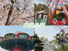 -顾村公园