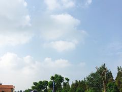 -万国驾校