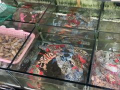 -海门岛七号餐厅