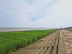 -南汇新城海滩