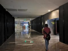 -武商摩尔影城(国广IMAX激光店)
