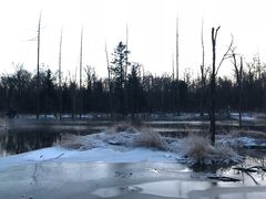 -王朝圣地温泉酒店-中餐厅