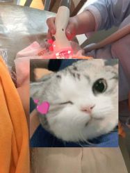 -Cocodemer 产后恢复中心(多伦路店)