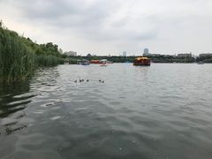 -长春市南湖公园