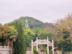 -青礁慈济宫