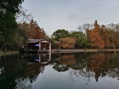 -绿荫坊餐厅(共青森林公园店)