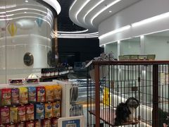-1013 PET SHOP精品宠物商店(丁香店)