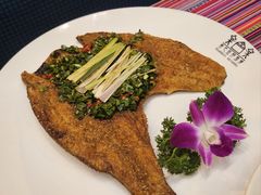 -香巴拉云南餐厅(华莱坞店)