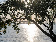 -宝安西湾红树林湿地公园