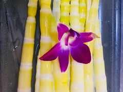 -谭鸭血老火锅(漳州路店)