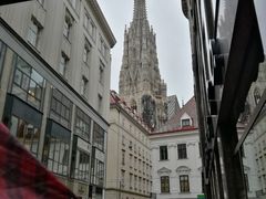 景点-斯蒂芬主教座堂(Stephansdom)
