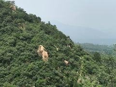 -北京鹫峰国家森林公园