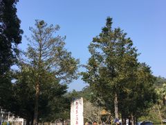景点-广东温泉宾馆