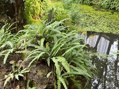 -大妙火锅·非物质文化遗产(东湖公园店)