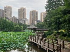 -龙头寺公园