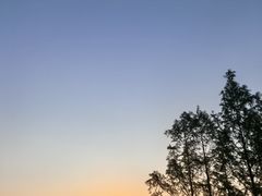 -南京眼步行桥