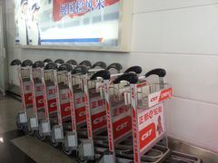 -厦门高崎国际机场-T3航站楼