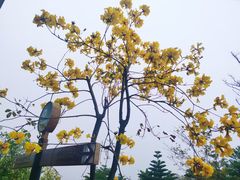 -厦门湾·白塘湾火山公园