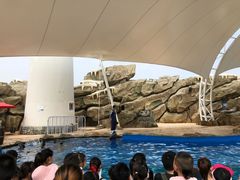 -芜湖新华联大白鲸海洋公园