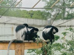 -上方山森林动物世界