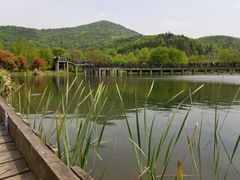 -石塘人家