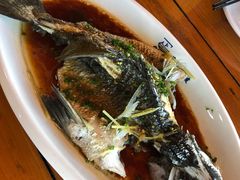 -蓝湾碧波·老字号·疍家非遗海上餐厅