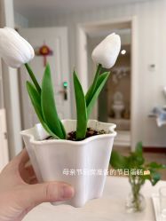-月来悦好国际月子会所