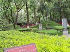-包公祠