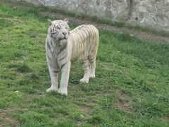 -西安秦岭野生动物园