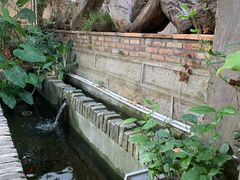 -杨桃院子咖啡吧(安海花园店)