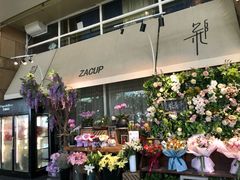 -杂咖zacup(领展中心城店)