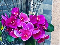 -归觅·西关小姐人文艺术馆(荔枝湾店)