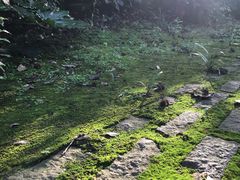 -上海市保健医疗中心