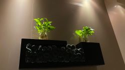 -史云逊养发护发