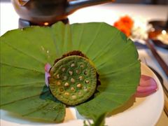 -叶叶菩提(太原别墅店)