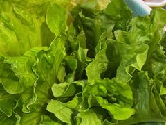 -探窝·竹笙椰子鸡(杨箕店)