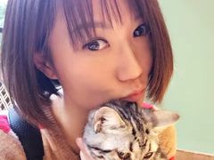 -李小姐の猫咖啡馆(五角场店)