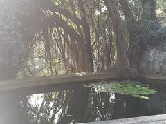-鸿山公园