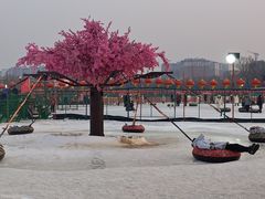 -北陵公园