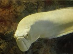 -洛阳龙门海洋馆