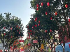 -越秀西湖花市(广州城市广场花卉店)