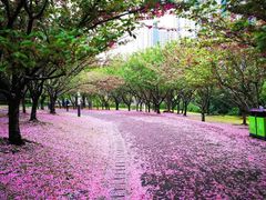 -苏州河梦清园环保主题公园