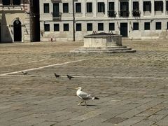 -圣马尔谷圣殿宗主教座堂