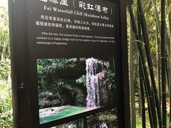 -川西竹海景区