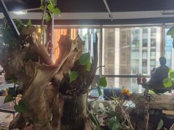 -周忆刺青原创设计定制