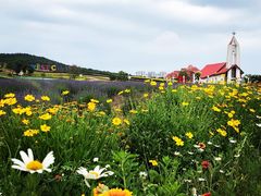 -西海岸生态观光园