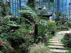 -东莞植物园