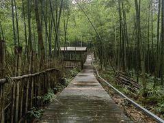 -宁波浙东大竹海景区