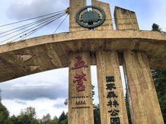 -五营红松林海景区